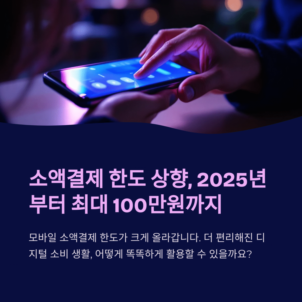 소액결제 한도 상향, 2025년 부터 최대 100만원 까지