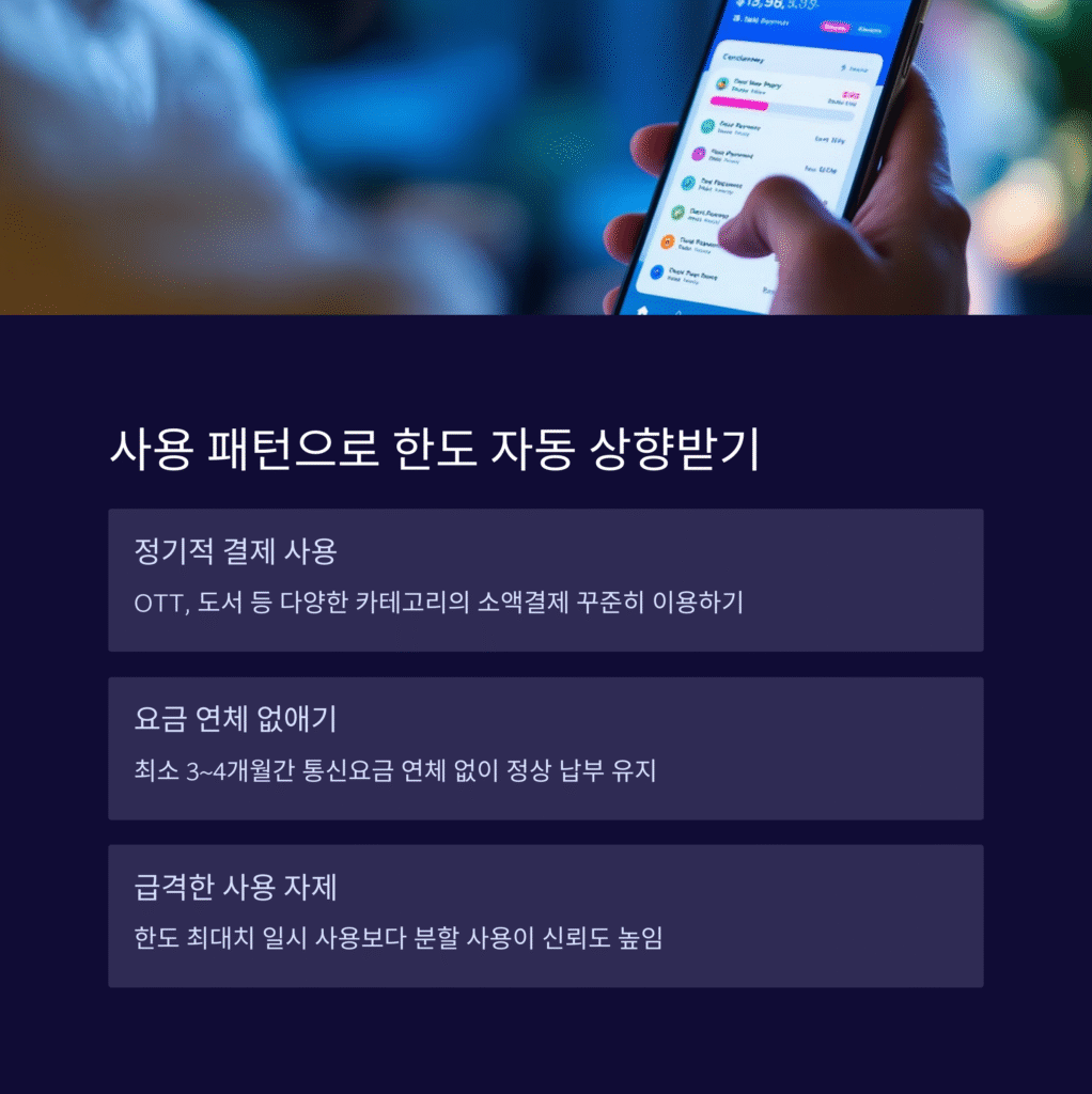 사용 패턴으로 한도 자동 상향받기